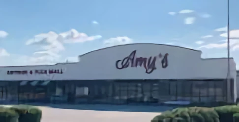 Amys Antique and Flea Mall Inc