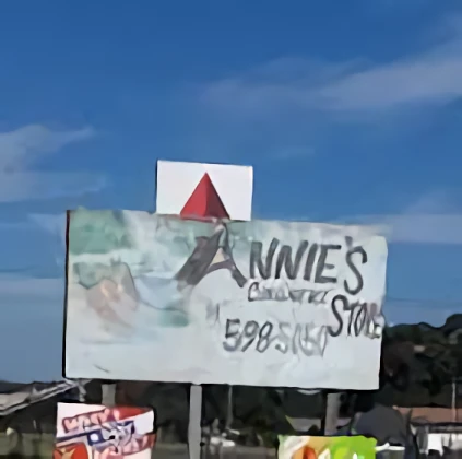 Annies Convenience Store