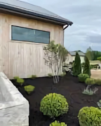 storage/Backyard Treasures