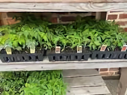 storage/Berlin Hardware and Farm Supply