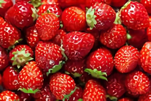Berry Patch
