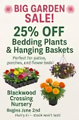 Blackwood Crossing Nursery