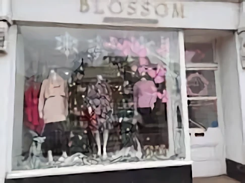 storage/Blossom Boutique