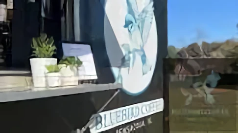 Bluebird Coffee Co.