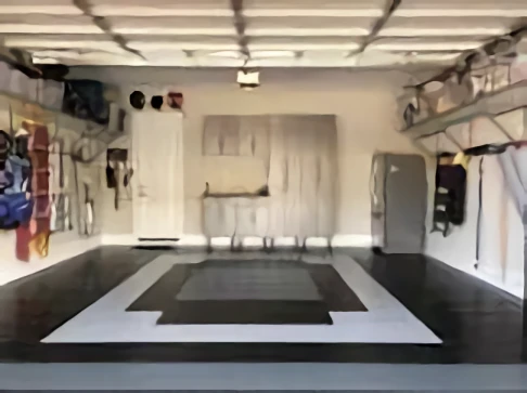 Carolina Garage