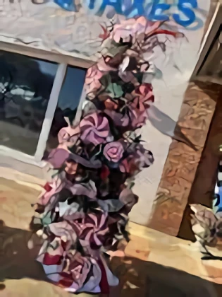 Cherries Blossom and Blooms