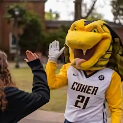 Coker