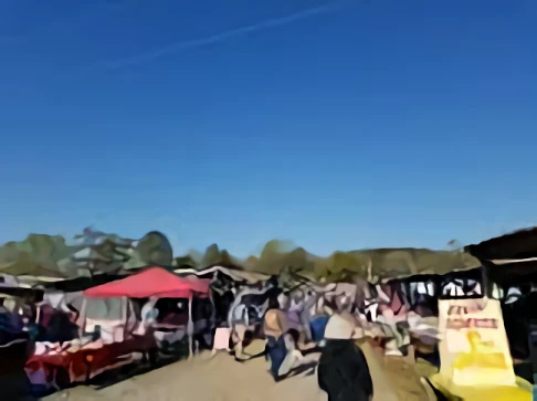 storage/Collinsville Trade Day Flea Market