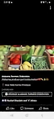 Fourmile Farms Produce