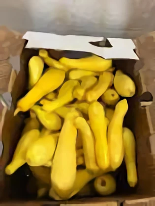 Fourmile Farms Produce