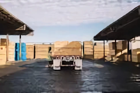 Interfor Sawmill