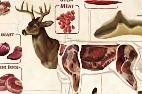 storage/Kens Deer Processing