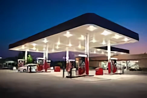Link gas station n package store