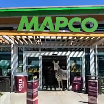 MAPCO Mart