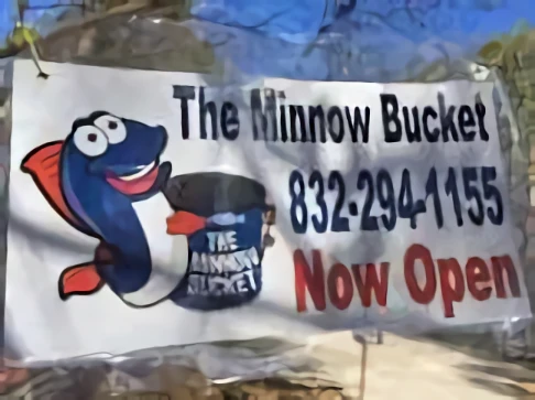 Minnow Buckett The