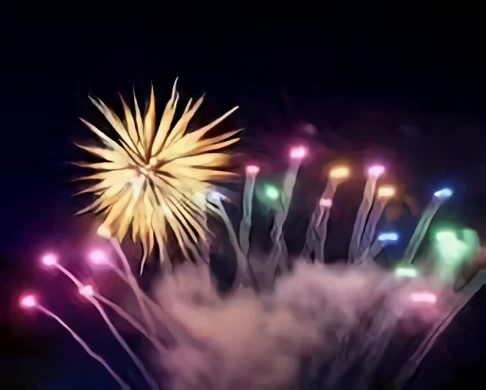 storage/Missys Fort Crowe Fireworks