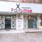 storage/Paradise Cuts