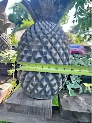 Pineapple