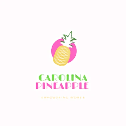 storage/Pineapple