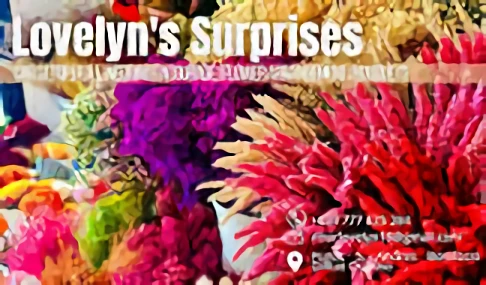 storage/Shop LoveLynn