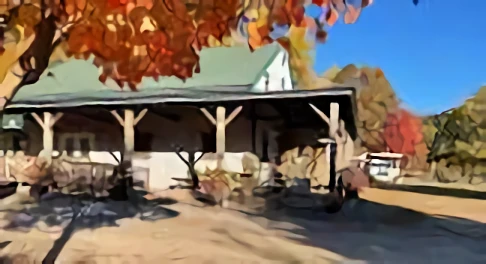 Steele Orchard