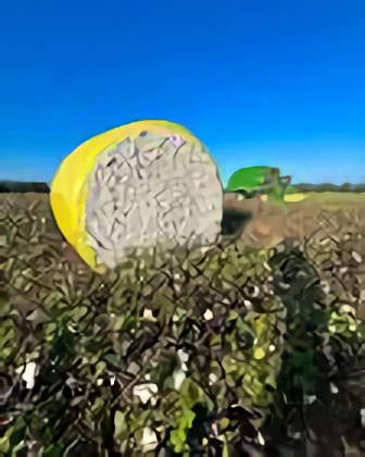 Triple R Farms