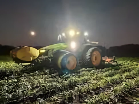 storage/Triple R Farms
