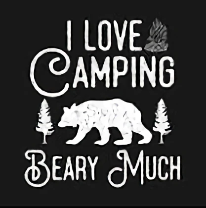 storage/Twin Forks Campgrounds Bear Creek Alabama