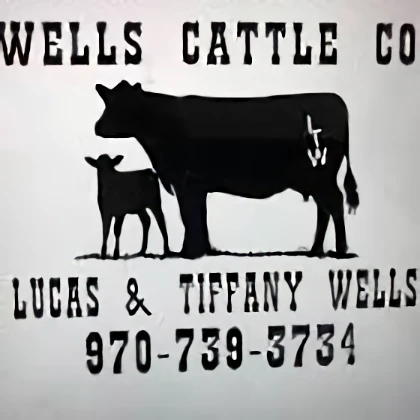 Wells Mercantile Co