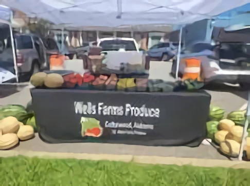 Wells Produce Market