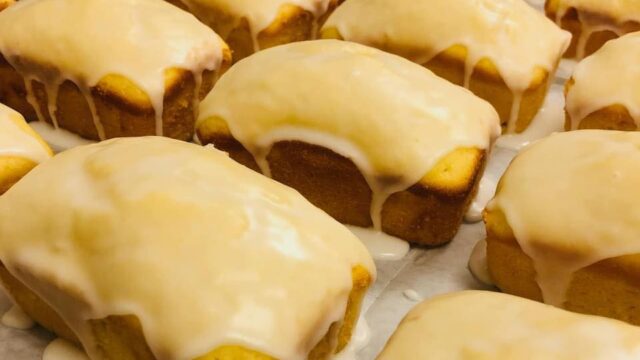 485339337_1441458393882663_705650481829865446_n