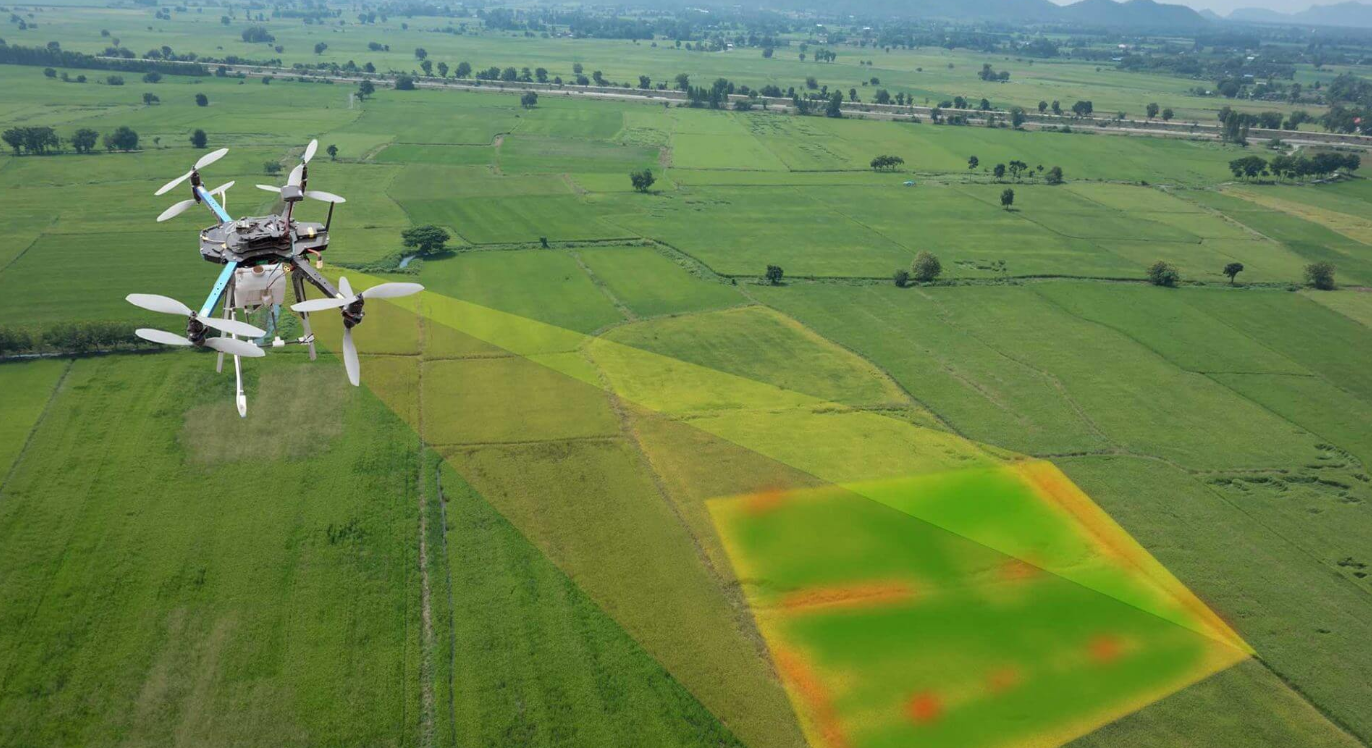 Agricultural Drone Mapping Services